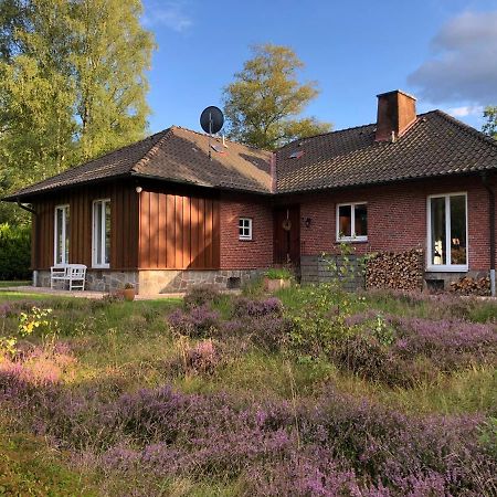 Landhaus Mitten In Der Lueneburger Heide Undeloh Exterior foto