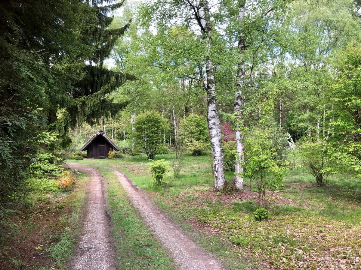 Landhaus Mitten In Der Lueneburger Heide Undeloh Exterior foto