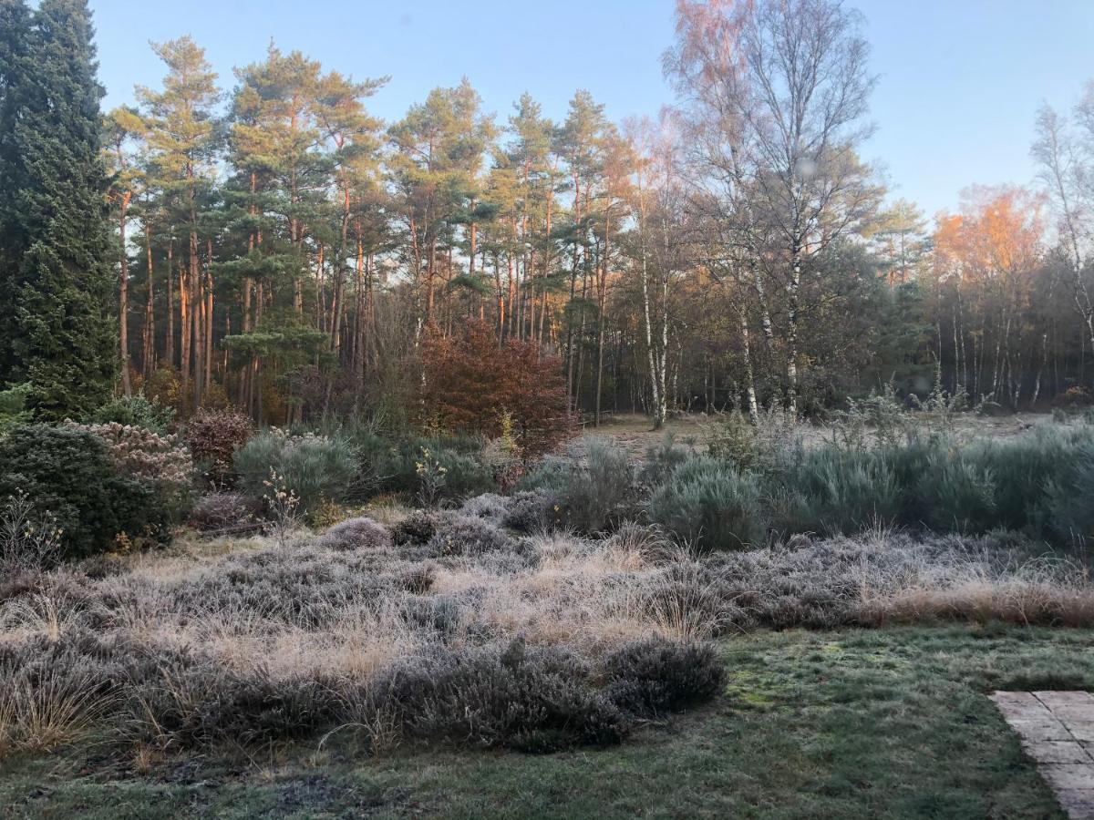 Landhaus Mitten In Der Lueneburger Heide Undeloh Exterior foto