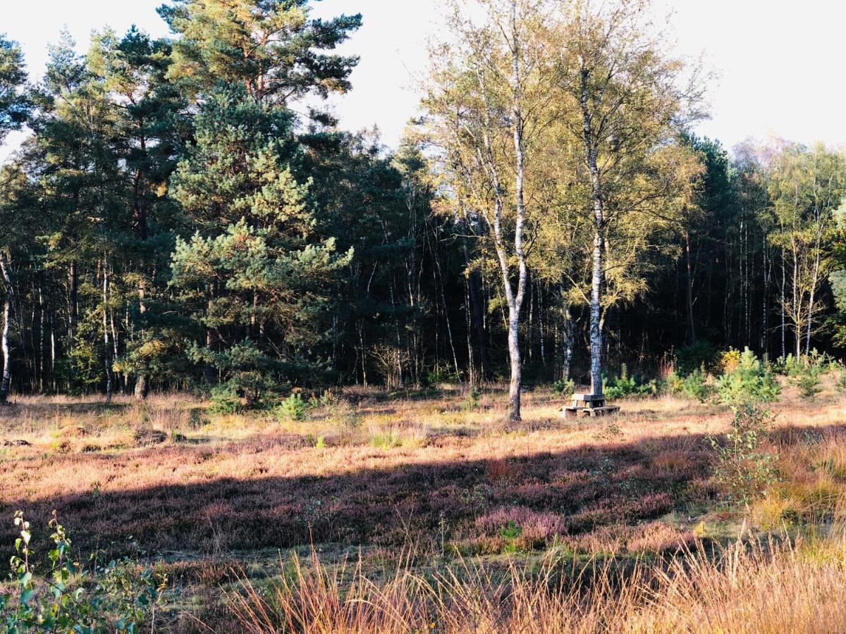 Landhaus Mitten In Der Lueneburger Heide Undeloh Exterior foto